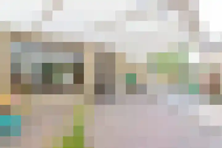 Ruys de Beerenbroucklaan 55 Urmond thumbnail 16