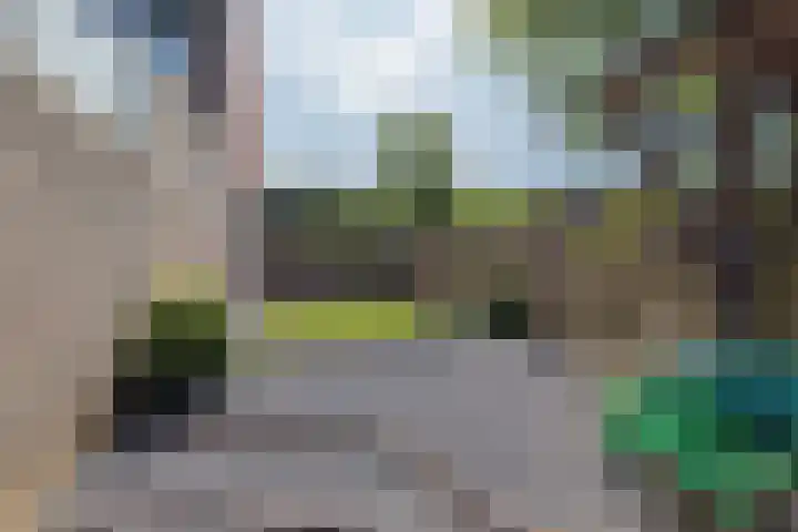 Ruys de Beerenbroucklaan 55 Urmond thumbnail 17