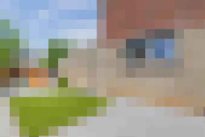 Ruys de Beerenbroucklaan 55 Urmond thumbnail 18