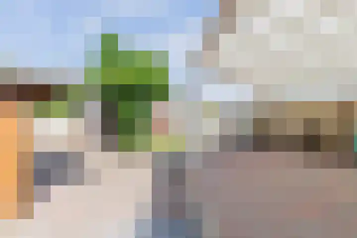Ruys de Beerenbroucklaan 55 Urmond thumbnail 19