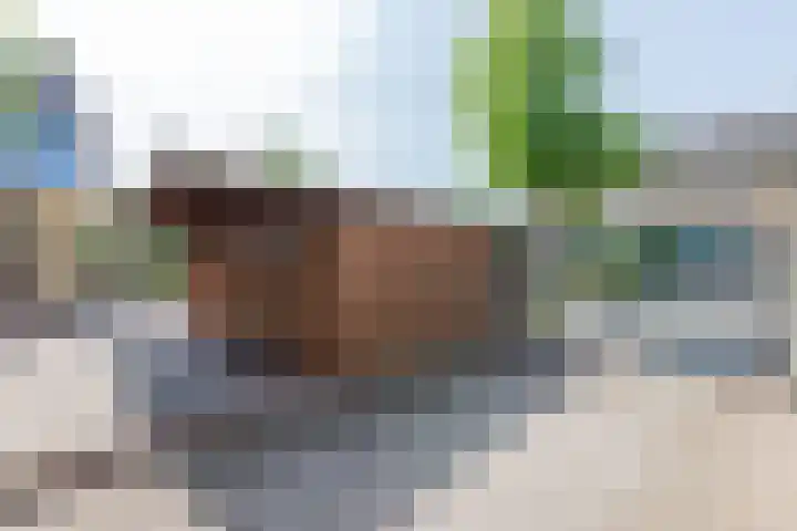 Ruys de Beerenbroucklaan 55 Urmond thumbnail 21