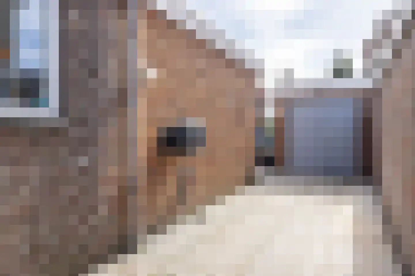 Ruys de Beerenbroucklaan 58 Urmond thumbnail 36