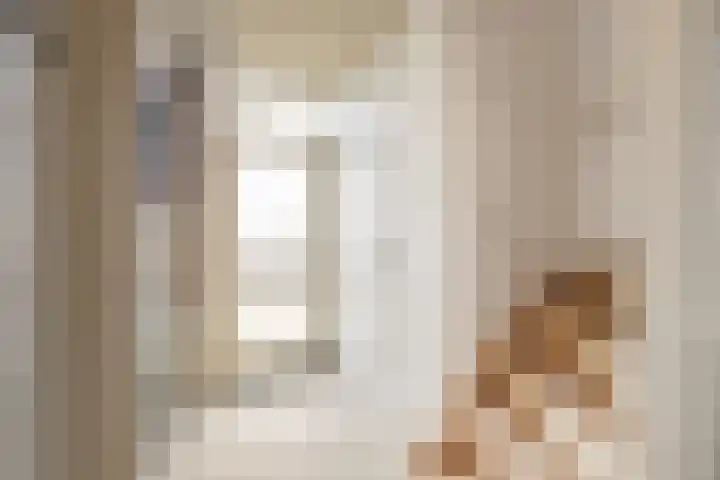 Ruys de Beerenbroucklaan 60 Urmond thumbnail 4