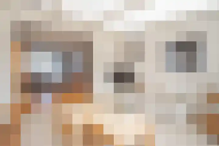 Ruys de Beerenbroucklaan 60 Urmond thumbnail 8