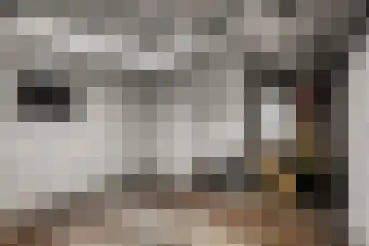 Ruys de Beerenbroucklaan 8 Heerlen thumbnail 34