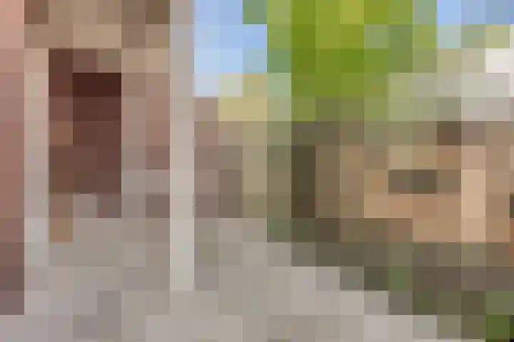 Ruys de Beerenbroucklaan 8 Heerlen thumbnail 35
