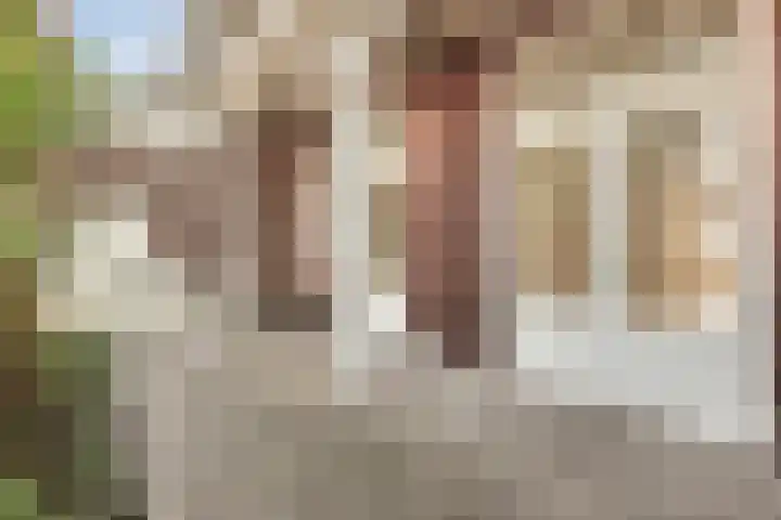 Ruys de Beerenbroucklaan 8 Heerlen thumbnail 36