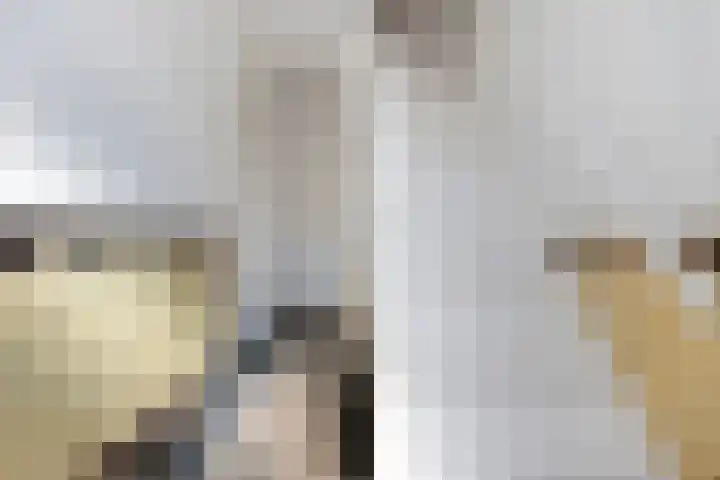 Ruys de Beerenbroucklaan 8 Heerlen thumbnail 5