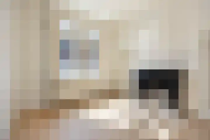 Ruys de Beerenbroucklaan 8 Heerlen thumbnail 9