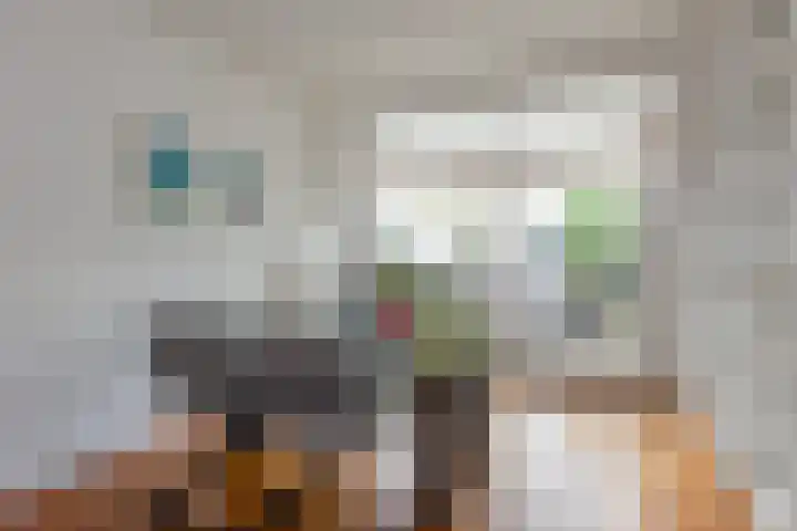 Ruys de Beerenbroucklaan 82 Urmond thumbnail 12