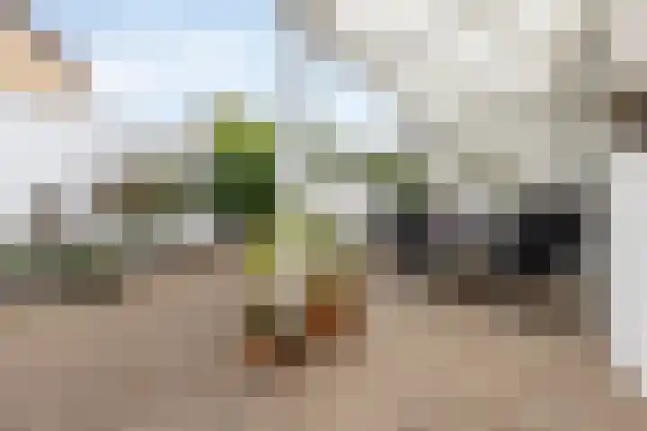 Ruys de Beerenbroucklaan 82 Urmond thumbnail 14