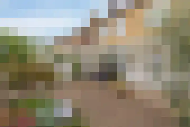 Ruys de Beerenbroucklaan 82 Urmond thumbnail 17