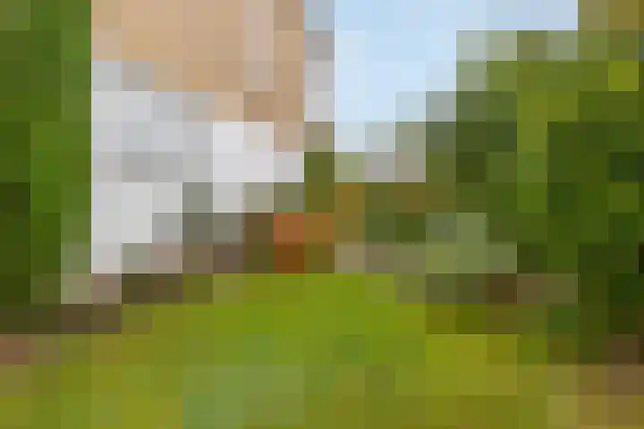 Ruys de Beerenbroucklaan 82 Urmond thumbnail 19