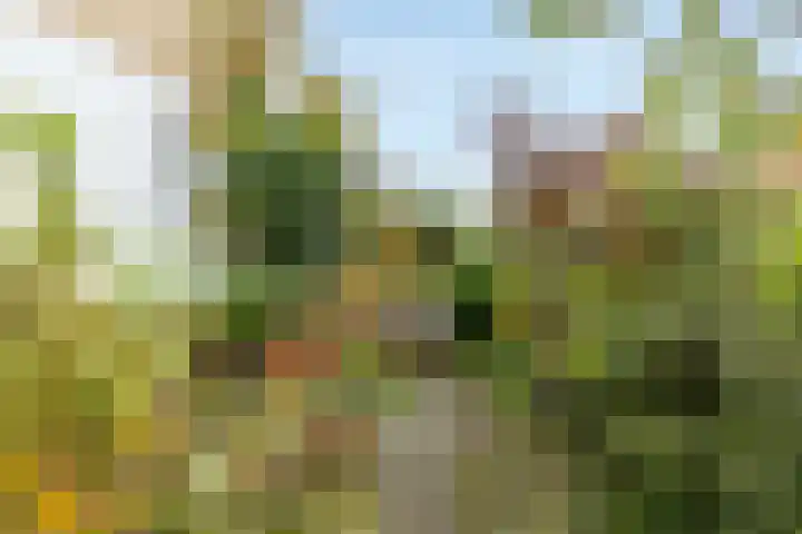 Ruys de Beerenbroucklaan 82 Urmond thumbnail 20