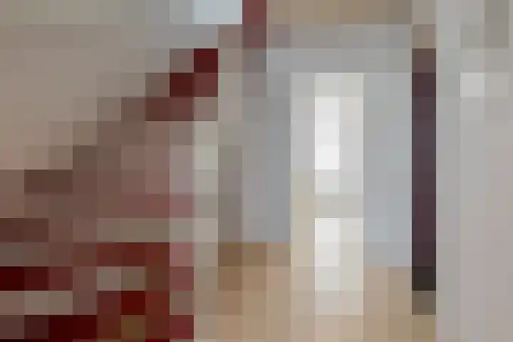 Ruys de Beerenbroucklaan 82 Urmond thumbnail 5