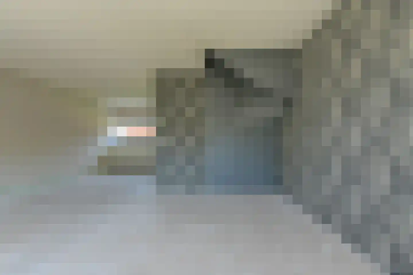 Ruys de Beerenbrouckplein 122 Oosterhout thumbnail 8