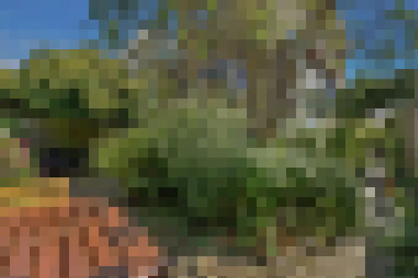 Ruys de Beerenbrouckplein 4 Delft thumbnail 16