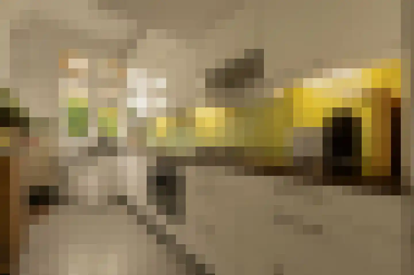 Ruys de Beerenbrouckplein 4 Delft thumbnail 17