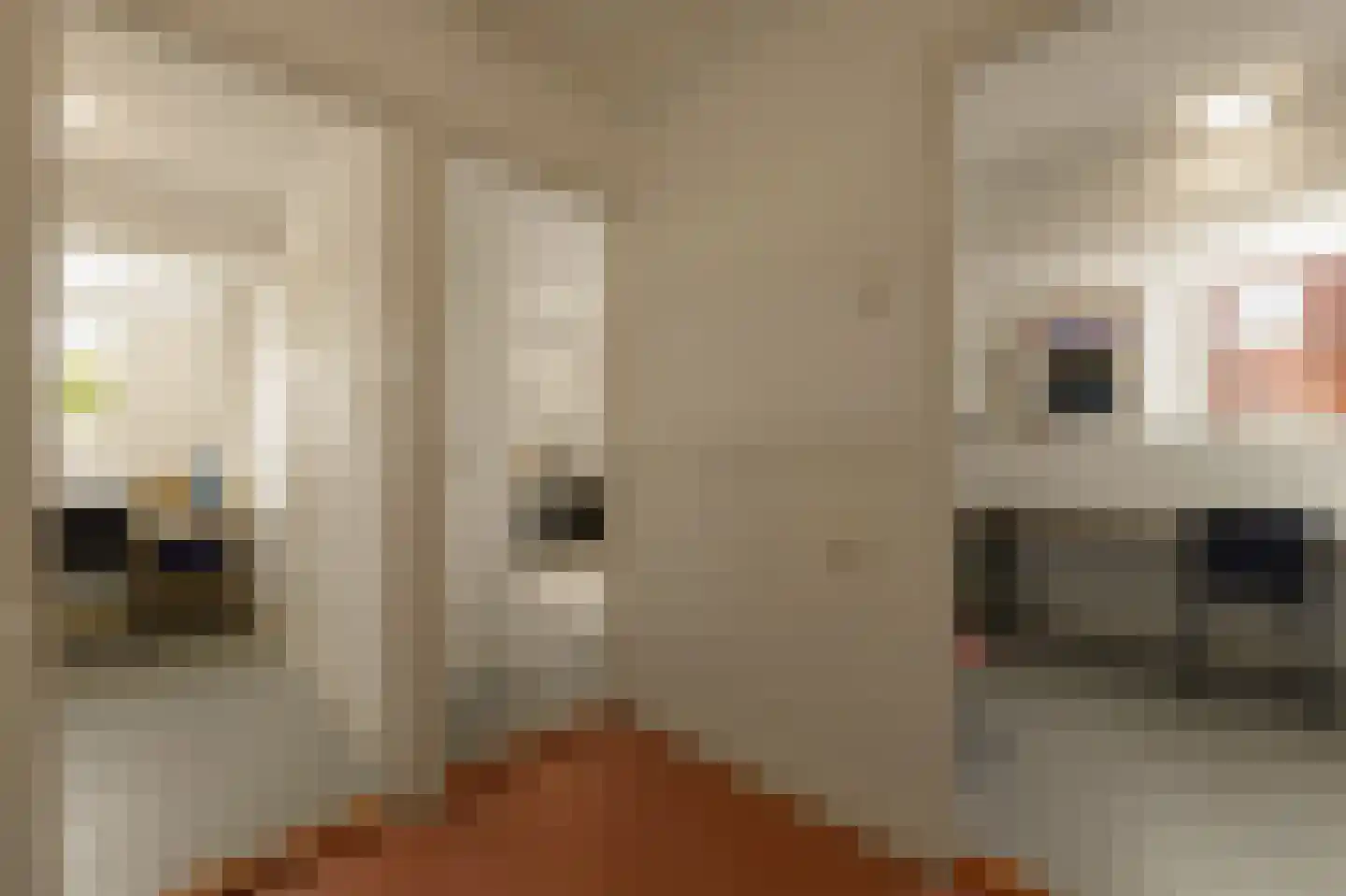 Ruys de Beerenbrouckplein 4 Delft thumbnail 39