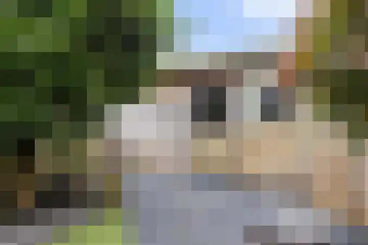 Ruys de Beerenbrouckstraat 101 Apeldoorn thumbnail 13