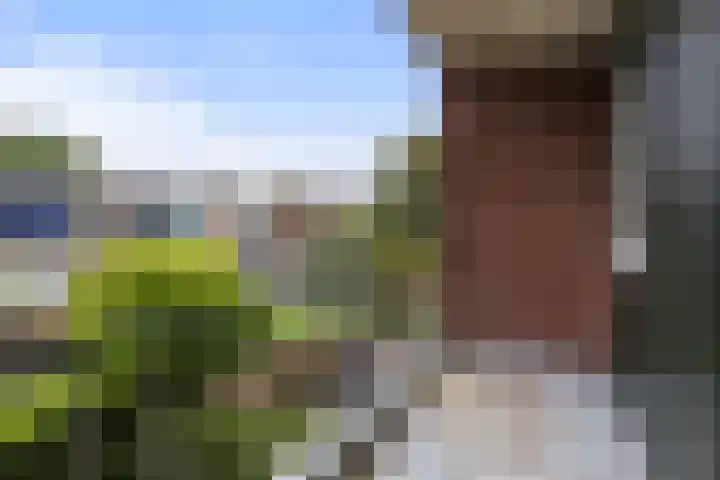 Ruys de Beerenbrouckstraat 101 Apeldoorn thumbnail 20