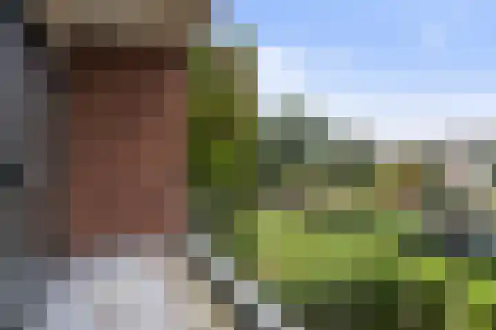 Ruys de Beerenbrouckstraat 101 Apeldoorn thumbnail 21
