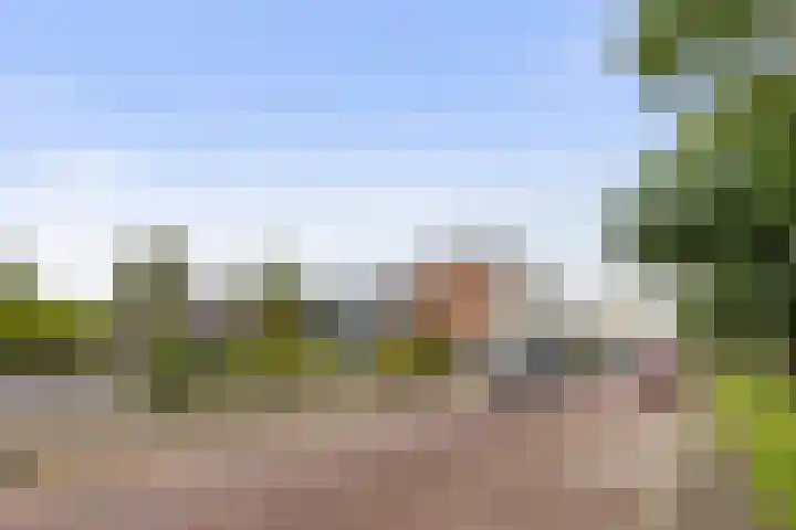Ruys de Beerenbrouckstraat 101 Apeldoorn thumbnail 32