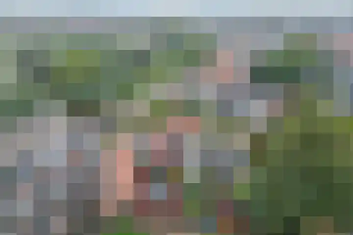 Ruys de Beerenbrouckstraat 101 Apeldoorn thumbnail 33