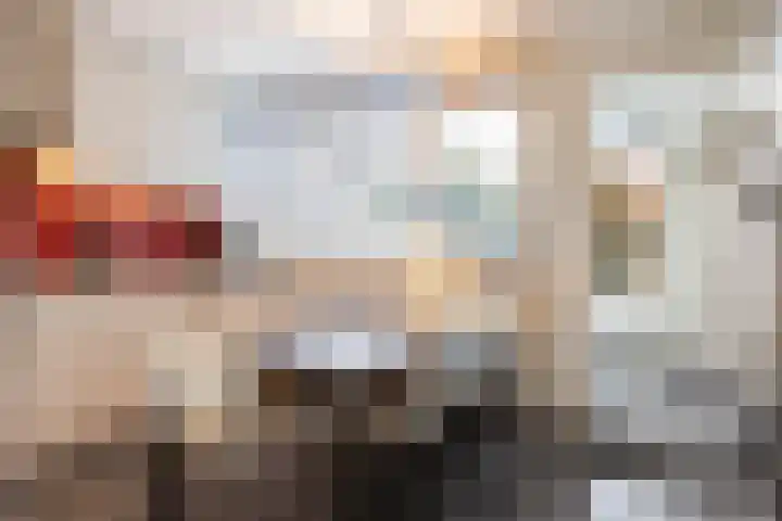 Ruys de Beerenbrouckstraat 101 Apeldoorn thumbnail 4