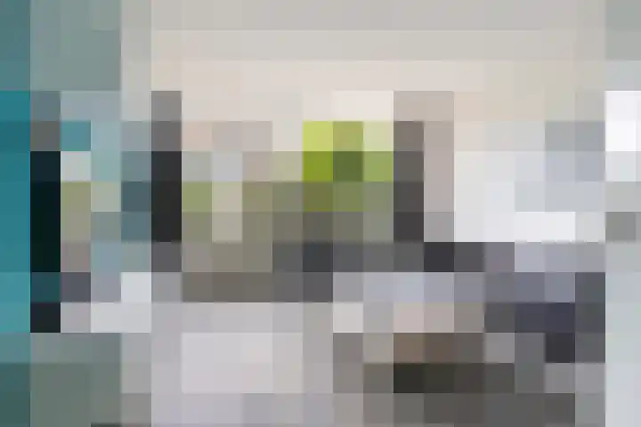 Ruys de Beerenbrouckstraat 101 Apeldoorn thumbnail 6