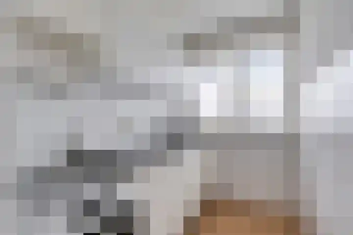 Ruys de Beerenbrouckstraat 107 Amsterdam thumbnail 8