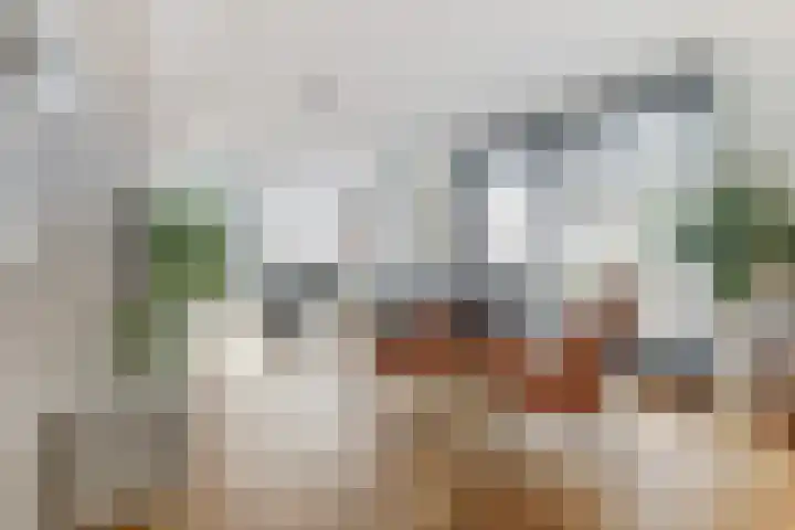 Ruys de Beerenbrouckstraat 112 Nijmegen thumbnail 11