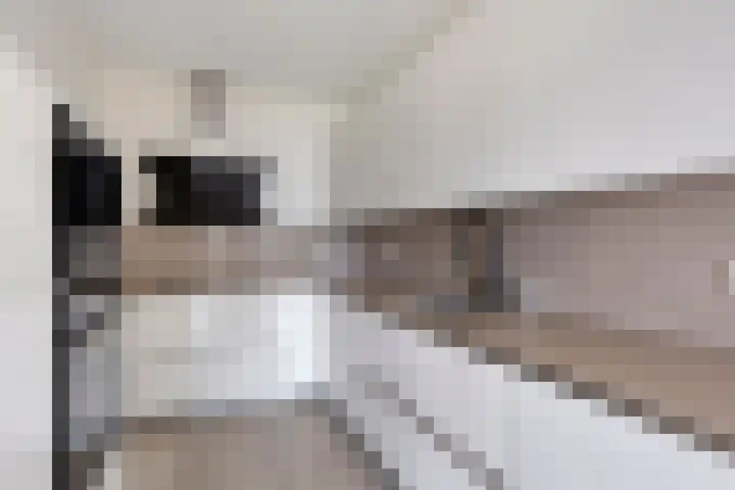 Ruys de Beerenbrouckstraat 119 E Amsterdam thumbnail 14