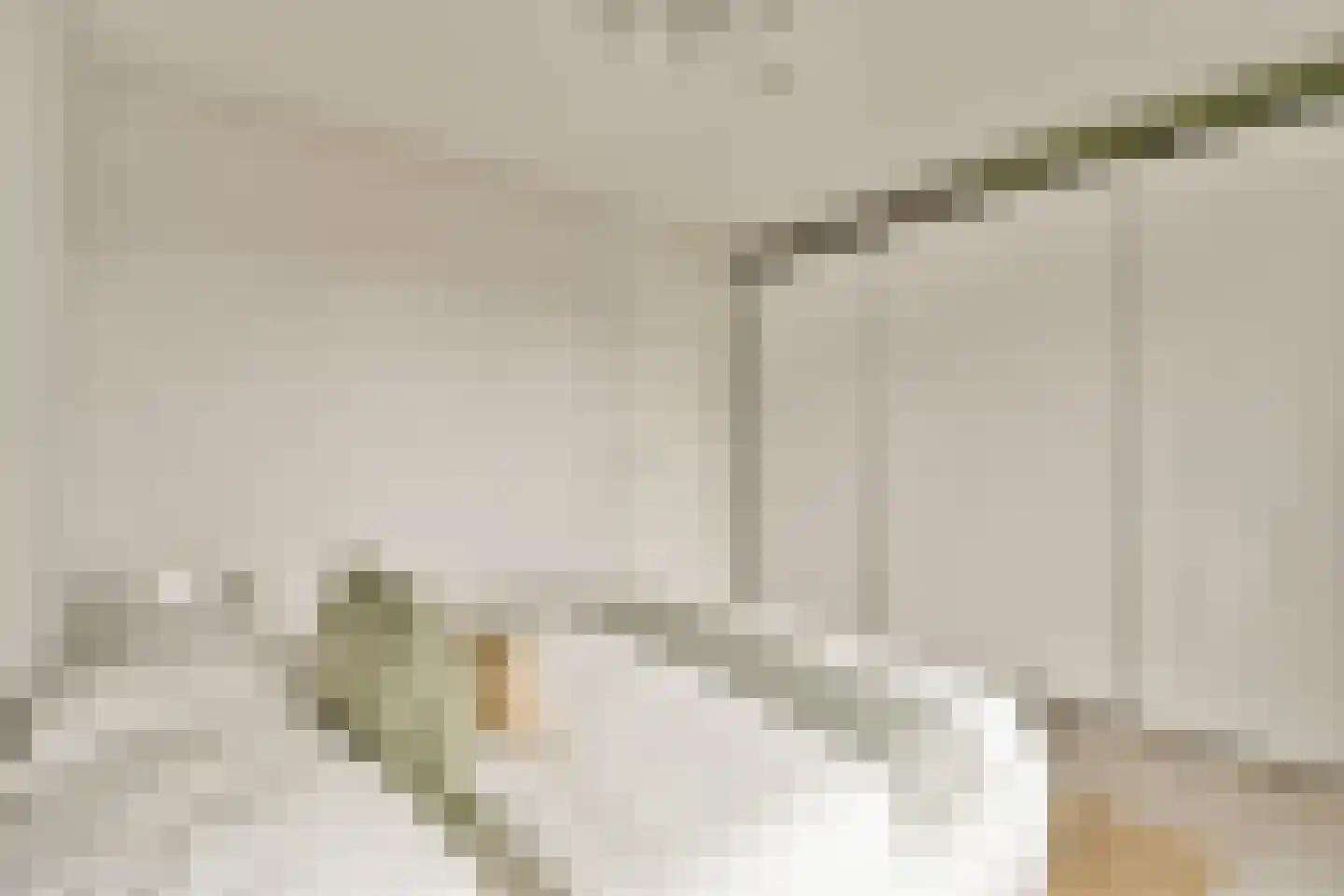 Ruys de Beerenbrouckstraat 119 E Amsterdam thumbnail 18