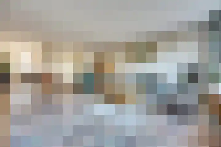 Ruys de Beerenbrouckstraat 12 Naaldwijk thumbnail 10