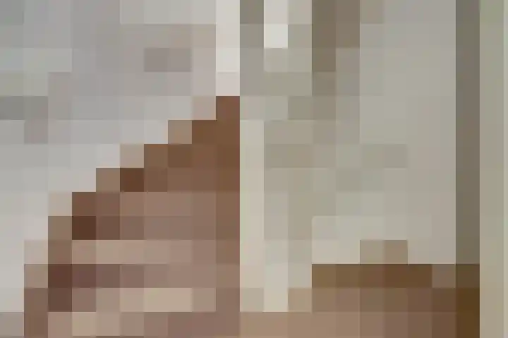 Ruys de Beerenbrouckstraat 12 Naaldwijk thumbnail 18
