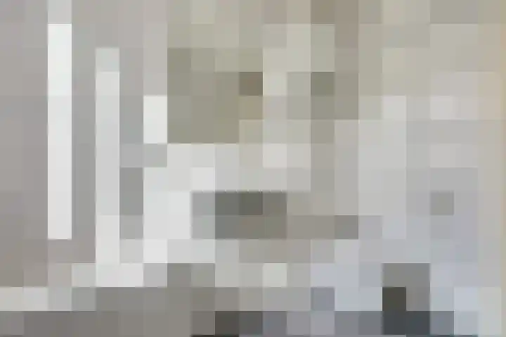 Ruys de Beerenbrouckstraat 12 Naaldwijk thumbnail 23