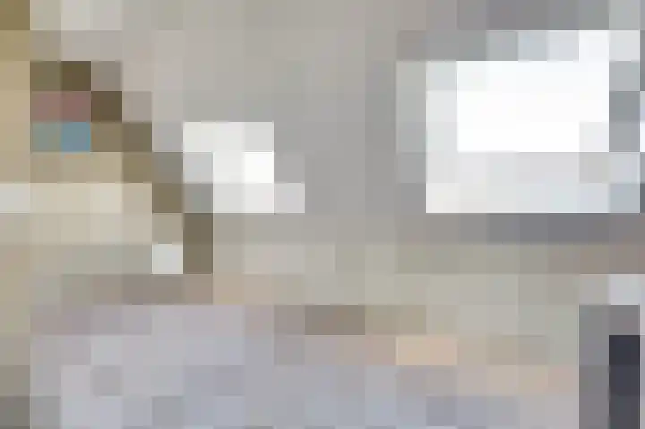 Ruys de Beerenbrouckstraat 12 Naaldwijk thumbnail 29