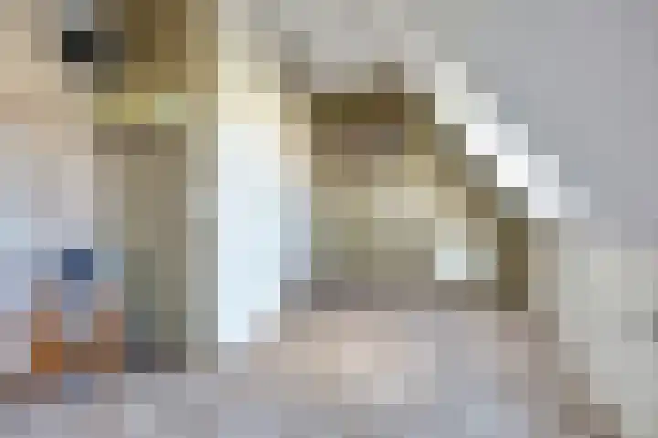 Ruys de Beerenbrouckstraat 12 Naaldwijk thumbnail 30