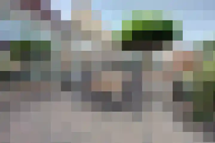 Ruys de Beerenbrouckstraat 12 Naaldwijk thumbnail 35