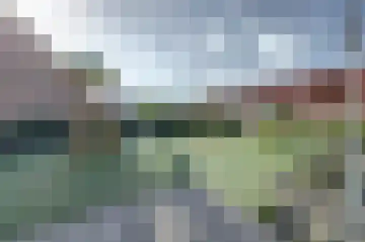 Ruys de Beerenbrouckstraat 12 Naaldwijk thumbnail 39