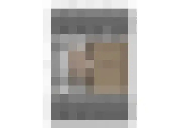 Ruys de Beerenbrouckstraat 12 Naaldwijk thumbnail 42