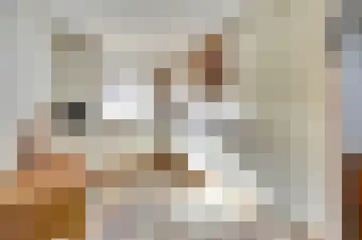 Ruys de Beerenbrouckstraat 12 Naaldwijk thumbnail 5
