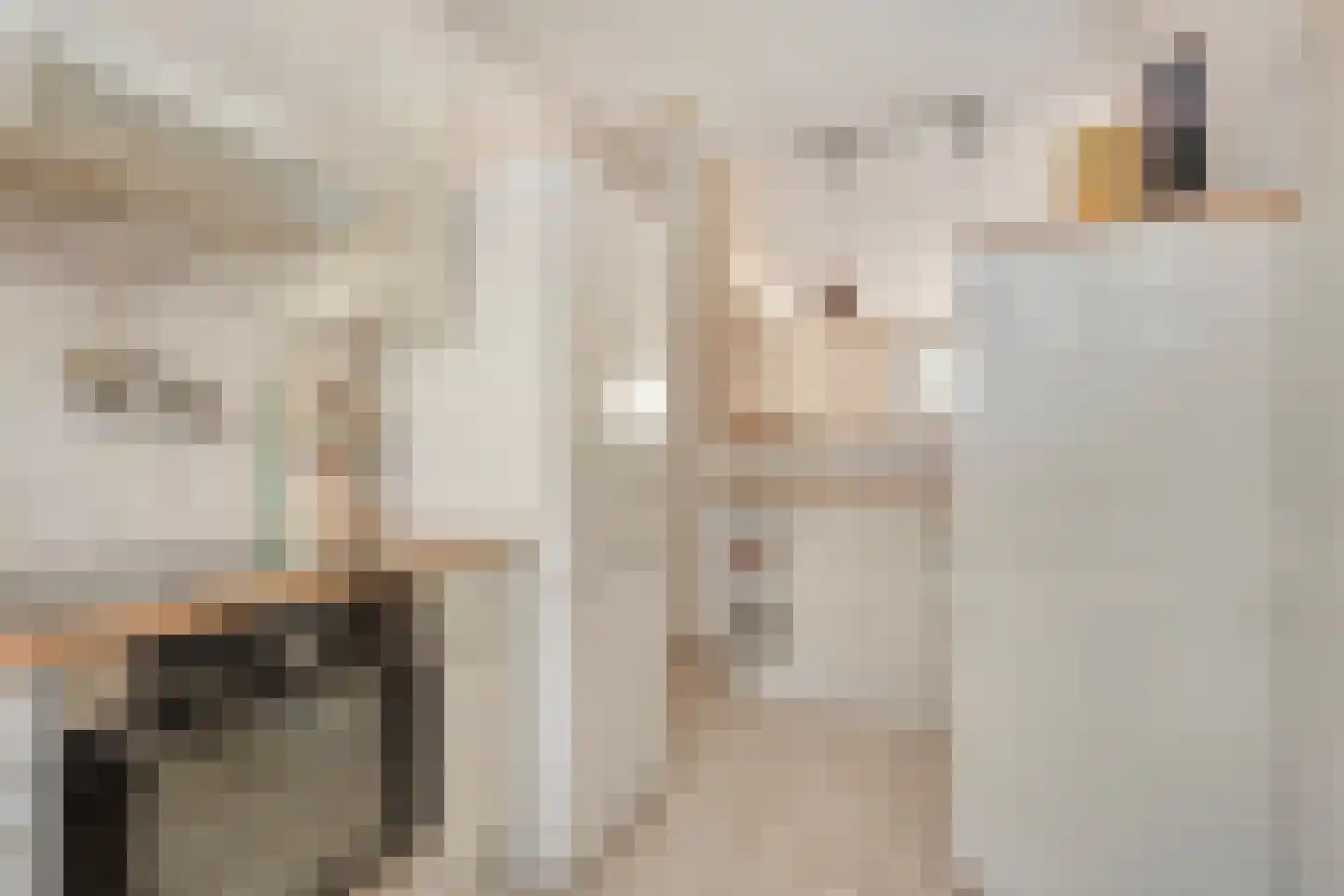 Ruys de Beerenbrouckstraat 145 Vlissingen thumbnail 12