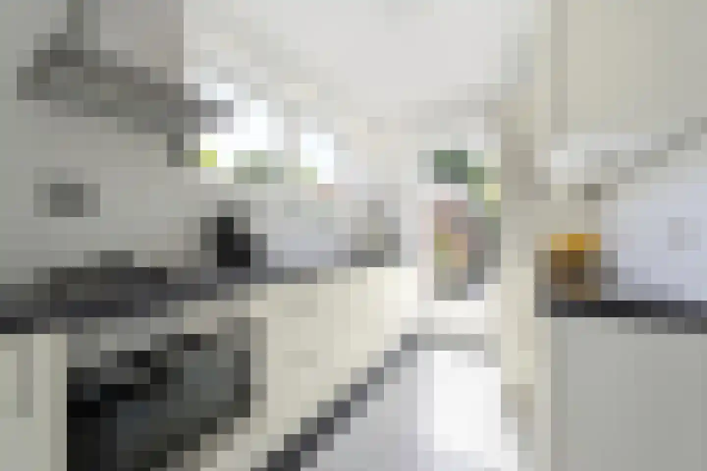 Ruys de Beerenbrouckstraat 31 Delft thumbnail 4