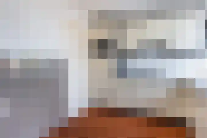 Ruys de Beerenbrouckstraat 57 Apeldoorn thumbnail 10