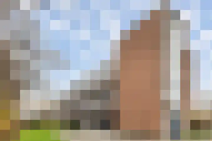 Ruys de Beerenbrouckstraat 57 Apeldoorn thumbnail 31