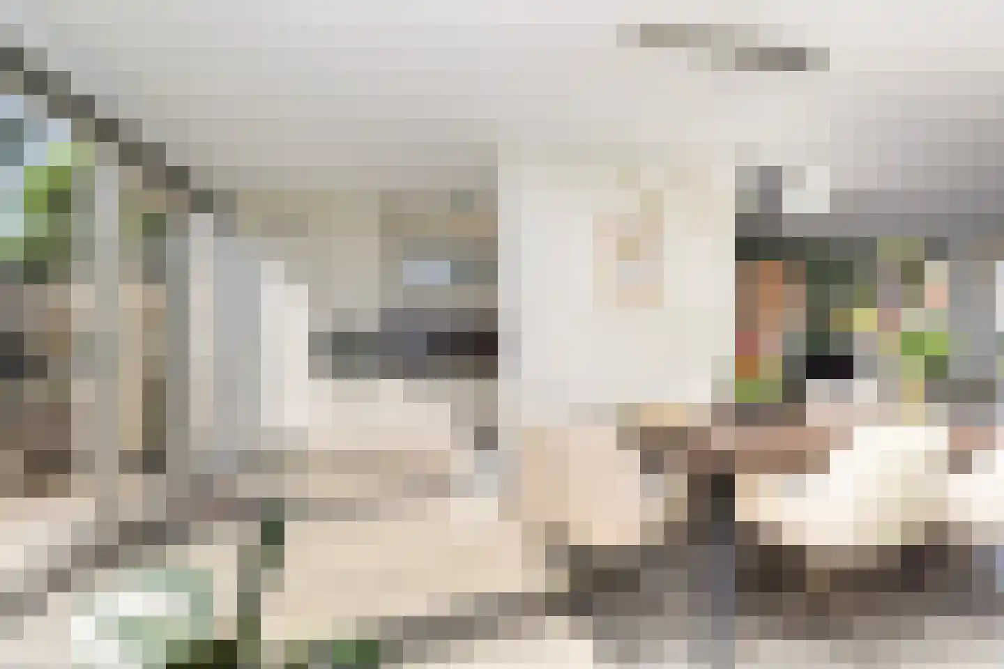 Ruys de Beerenbrouckstraat 7 Zwijndrecht thumbnail 12