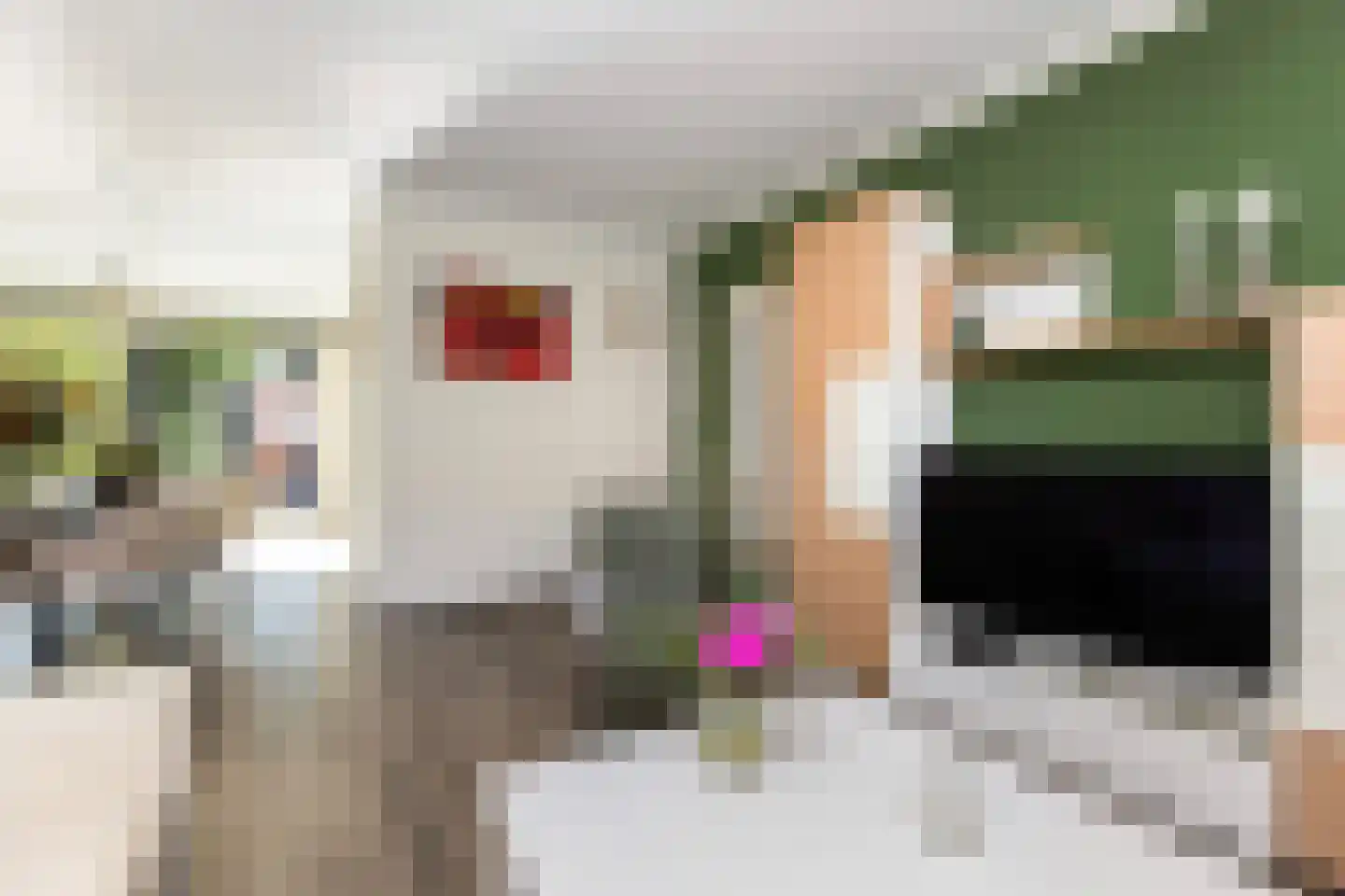 Ruys de Beerenbrouckstraat 7 Zwijndrecht thumbnail 7