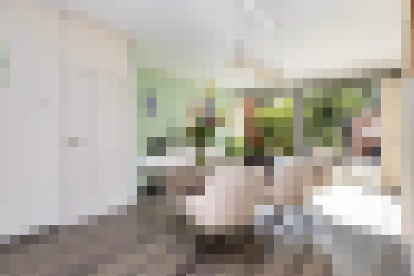 Ruys de Beerenbrouckstraat 7 Zwijndrecht thumbnail 9